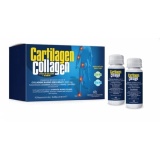 CARTILAGEN COLLAGEN