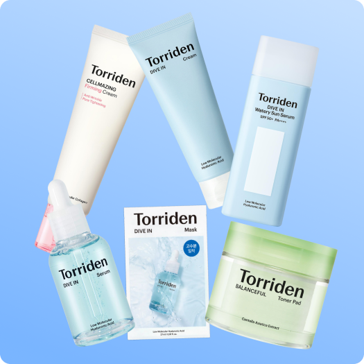 Torriden_blog_2.png (263 KB)